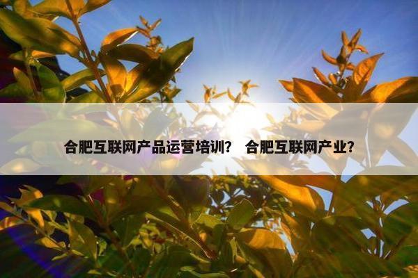 合肥互联网产品运营培训？ 合肥互联网产业？