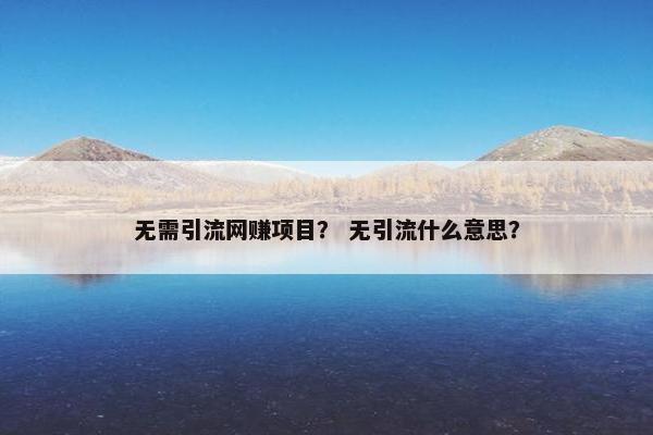 无需引流网赚项目？ 无引流什么意思？