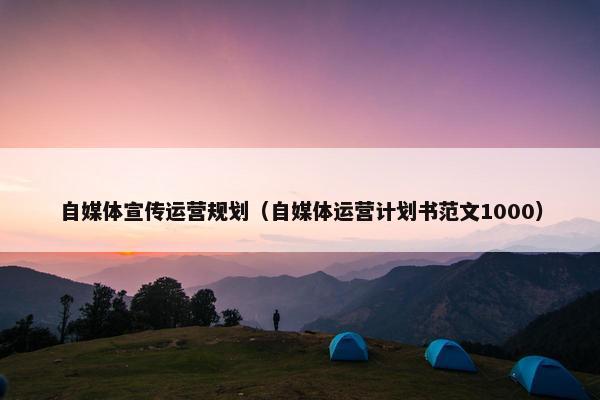自媒体宣传运营规划（自媒体运营计划书范文1000）