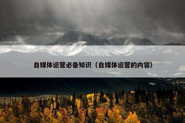 自媒体运营必备知识（自媒体运营的内容）