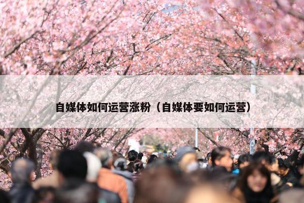 自媒体如何运营涨粉（自媒体要如何运营）