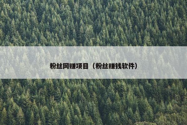 粉丝网赚项目（粉丝赚钱软件）