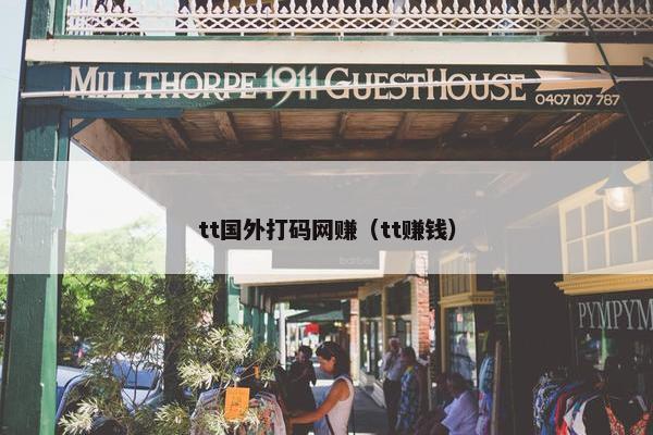 tt国外打码网赚（tt赚钱）