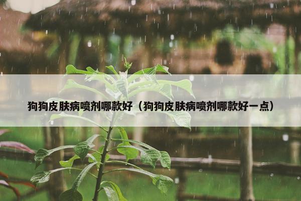 狗狗皮肤病喷剂哪款好（狗狗皮肤病喷剂哪款好一点）