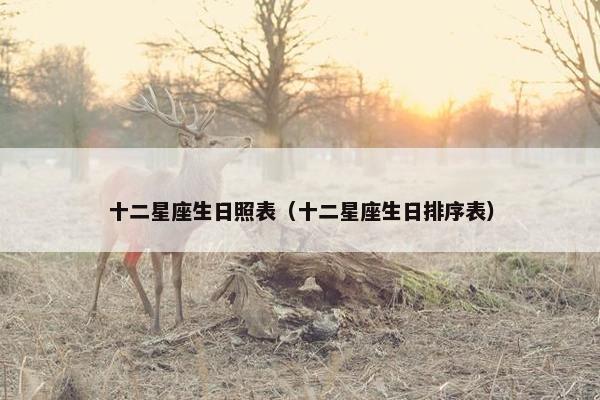十二星座生日照表（十二星座生日排序表）