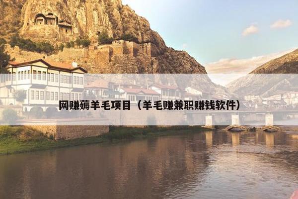网赚薅羊毛项目（羊毛赚兼职赚钱软件）