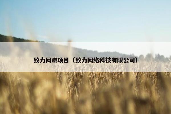 致力网赚项目（致力网络科技有限公司）