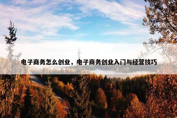 电子商务怎么创业，电子商务创业入门与经营技巧
