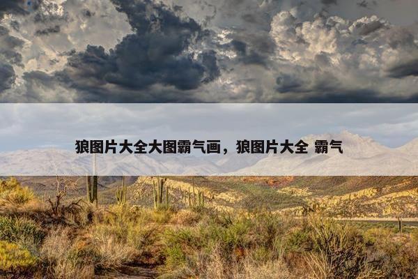 狼图片大全大图霸气画，狼图片大全 霸气