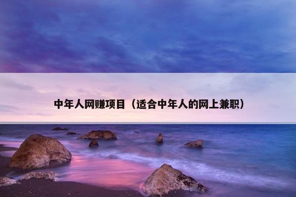 中年人网赚项目（适合中年人的网上兼职）