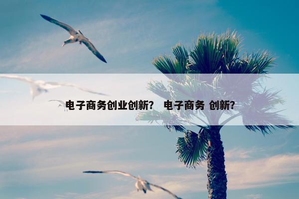 电子商务创业创新？ 电子商务 创新？