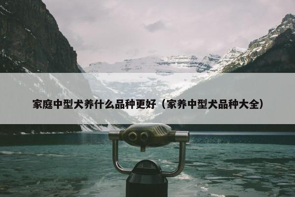 家庭中型犬养什么品种更好（家养中型犬品种大全）