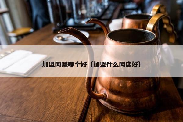 加盟网赚哪个好（加盟什么网店好）