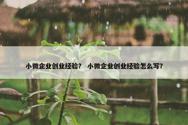 小微企业创业经验？ 小微企业创业经验怎么写？