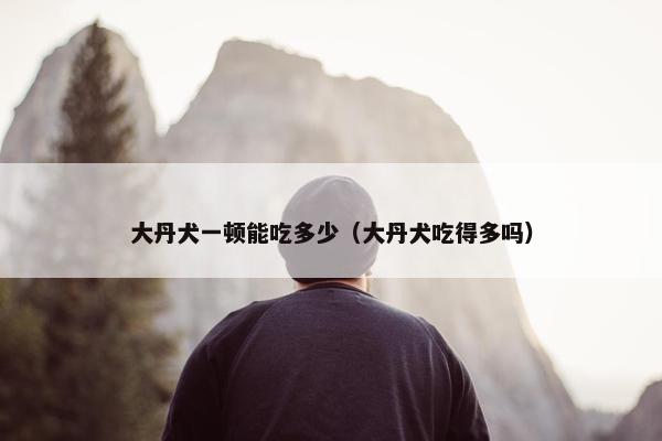 大丹犬一顿能吃多少（大丹犬吃得多吗）