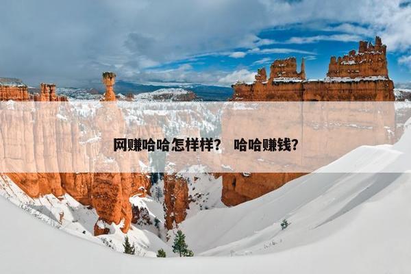 网赚哈哈怎样样？ 哈哈赚钱？