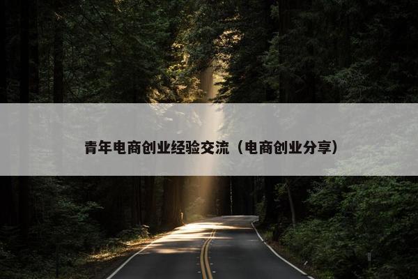 青年电商创业经验交流（电商创业分享）