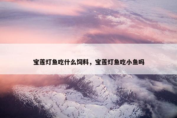 宝莲灯鱼吃什么饲料，宝莲灯鱼吃小鱼吗
