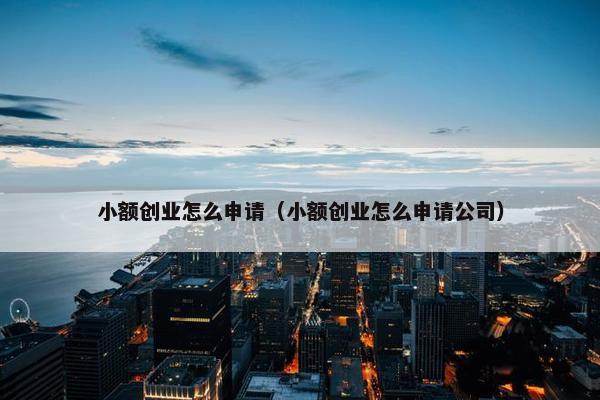 小额创业怎么申请（小额创业怎么申请公司）