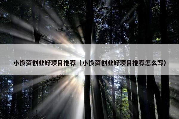 小投资创业好项目推荐（小投资创业好项目推荐怎么写）