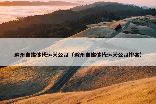 滁州自媒体代运营公司（滁州自媒体代运营公司排名）
