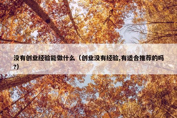 没有创业经验能做什么（创业没有经验,有适合推荐的吗?）
