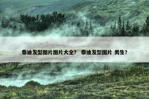 泰迪发型图片图片大全？ 泰迪发型图片 男生？