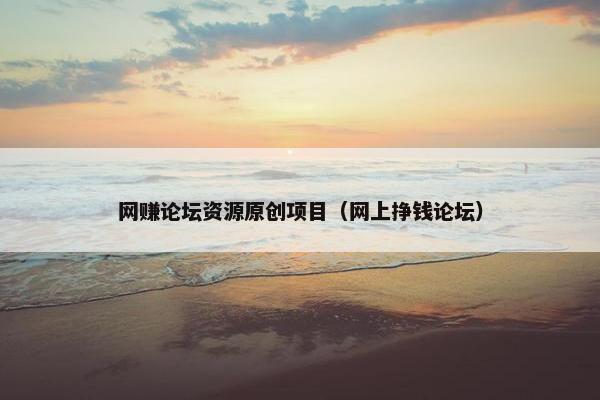 网赚论坛资源原创项目（网上挣钱论坛）