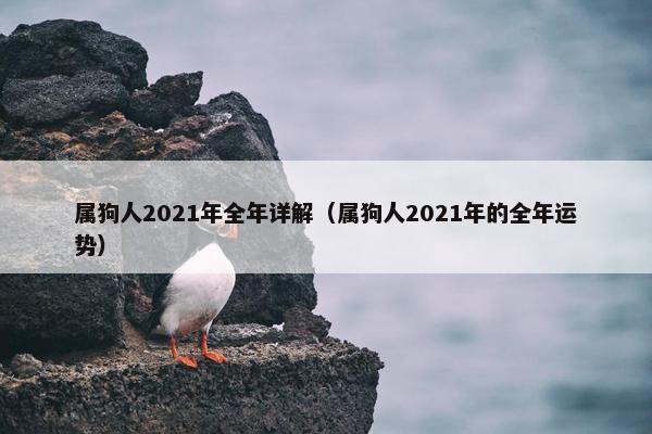 属狗人2021年全年详解（属狗人2021年的全年运势）