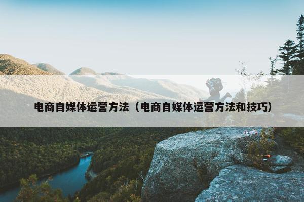 电商自媒体运营方法（电商自媒体运营方法和技巧）