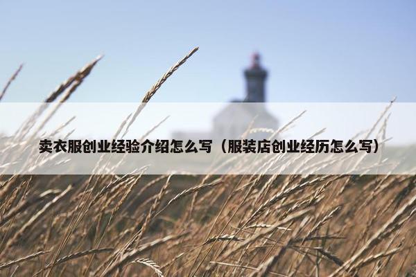 卖衣服创业经验介绍怎么写（服装店创业经历怎么写）