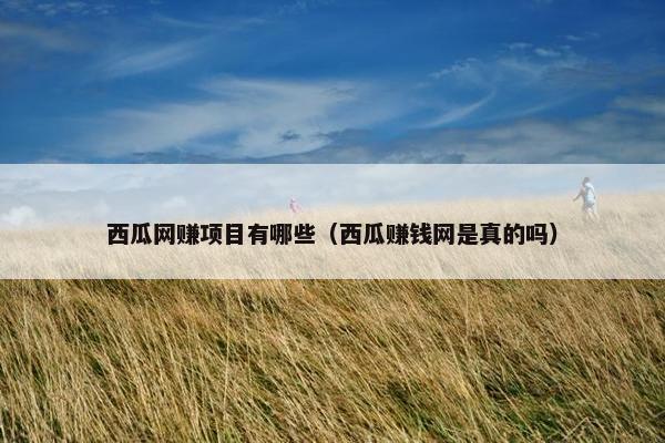 西瓜网赚项目有哪些（西瓜赚钱网是真的吗）