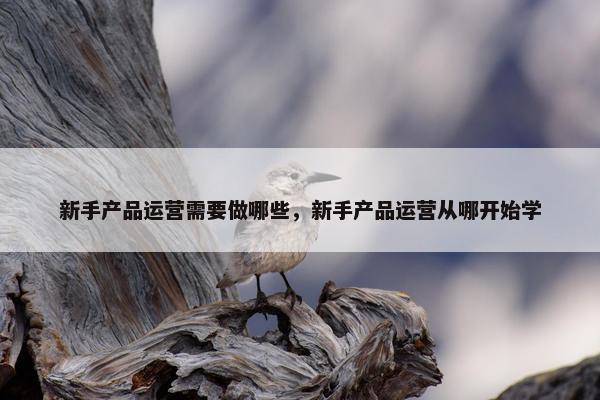 新手产品运营需要做哪些，新手产品运营从哪开始学