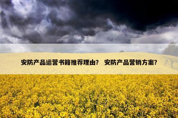 安防产品运营书籍推荐理由？ 安防产品营销方案？