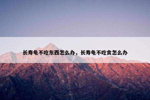 长寿龟不吃东西怎么办，长寿龟不吃食怎么办
