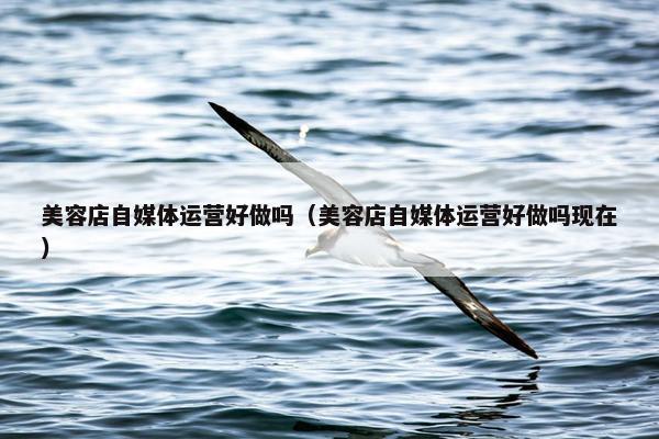 美容店自媒体运营好做吗（美容店自媒体运营好做吗现在）