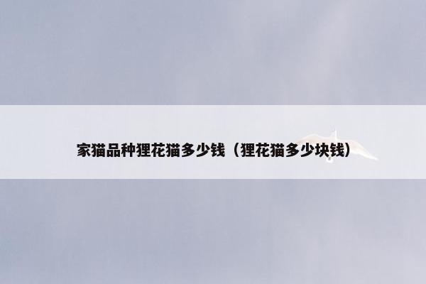 家猫品种狸花猫多少钱（狸花猫多少块钱）