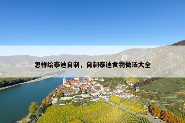 怎样给泰迪自制，自制泰迪食物做法大全
