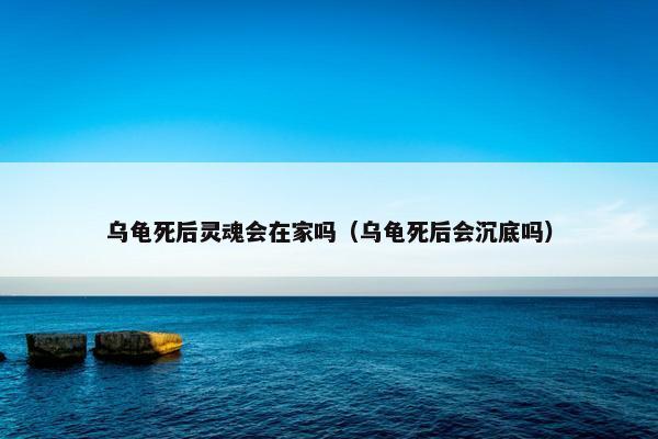 乌龟死后灵魂会在家吗（乌龟死后会沉底吗）