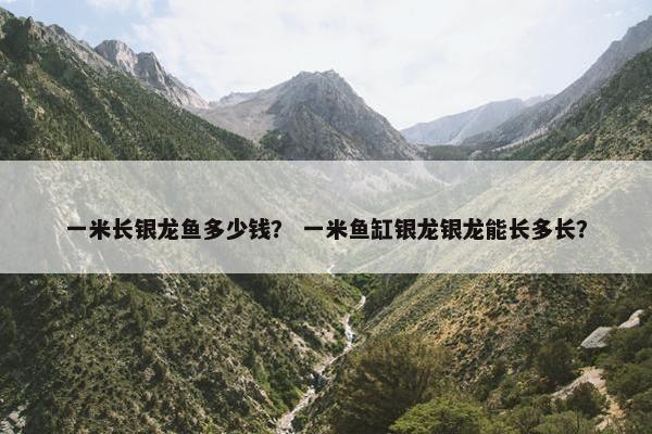 一米长银龙鱼多少钱？ 一米鱼缸银龙银龙能长多长？