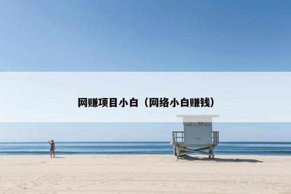 网赚项目小白（网络小白赚钱）