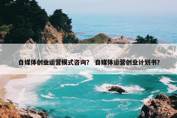 自媒体创业运营模式咨询？ 自媒体运营创业计划书？