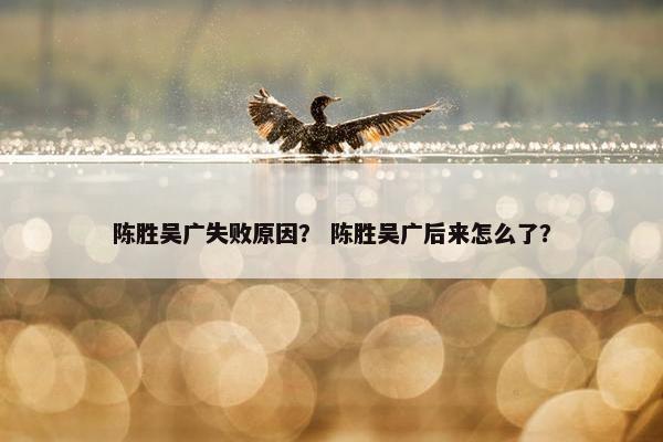 陈胜吴广失败原因？ 陈胜吴广后来怎么了？