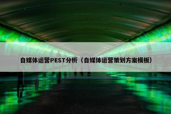 自媒体运营PEST分析（自媒体运营策划方案模板）