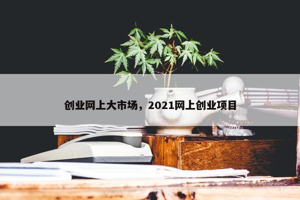 创业网上大市场，2021网上创业项目