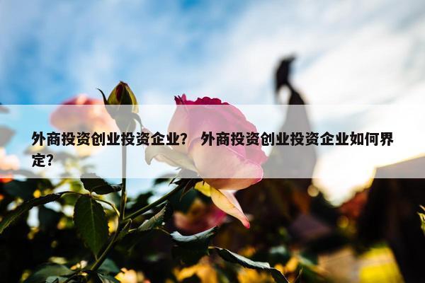 外商投资创业投资企业？ 外商投资创业投资企业如何界定？