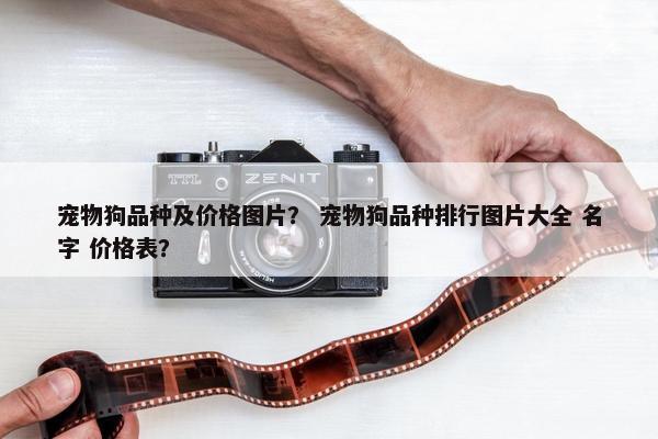 宠物狗品种及价格图片？ 宠物狗品种排行图片大全 名字 价格表？