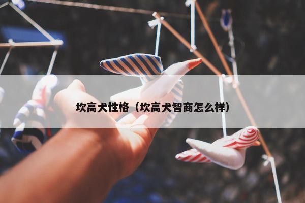 坎高犬性格（坎高犬智商怎么样）