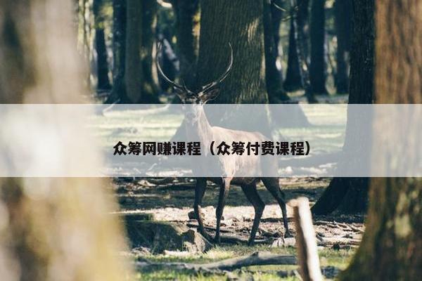 众筹网赚课程（众筹付费课程）