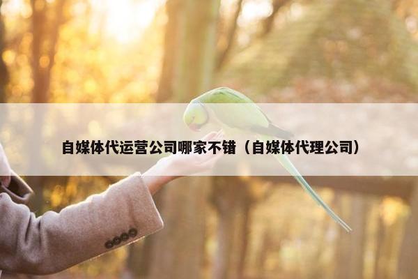 自媒体代运营公司哪家不错（自媒体代理公司）